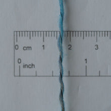 画像をギャラリービューアに読み込む, カメレオン 100g