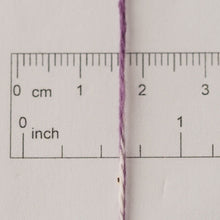 画像をギャラリービューアに読み込む, sazanami 白波