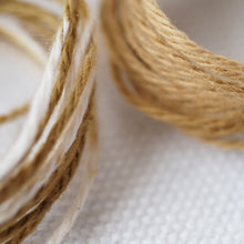 画像をギャラリービューアに読み込む, sazanami あわ