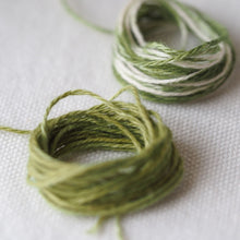 画像をギャラリービューアに読み込む, sazanami あわ