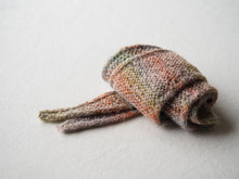 画像をギャラリービューアに読み込む, カメレオン 100g