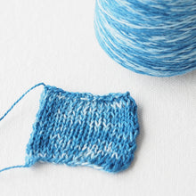 画像をギャラリービューアに読み込む, sazanami 限定品