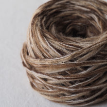 画像をギャラリービューアに読み込む, 1.ブラウン