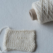 画像をギャラリービューアに読み込む, プリズモ 100g