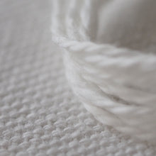 画像をギャラリービューアに読み込む, ナチュラルアース 100g