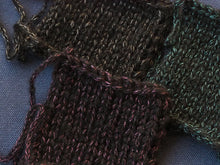 画像をギャラリービューアに読み込む, オリオン座
