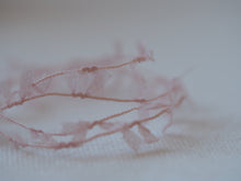 画像をギャラリービューアに読み込む, パピヨン
